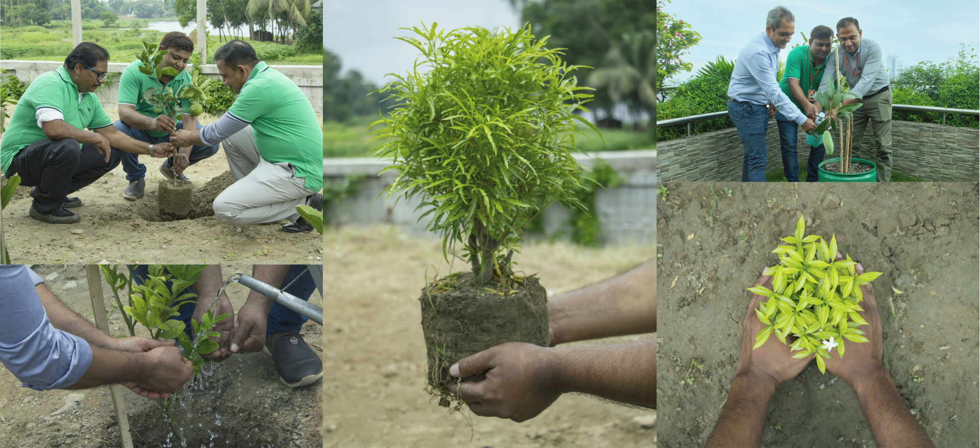 Photo-Collage-Environment-Day