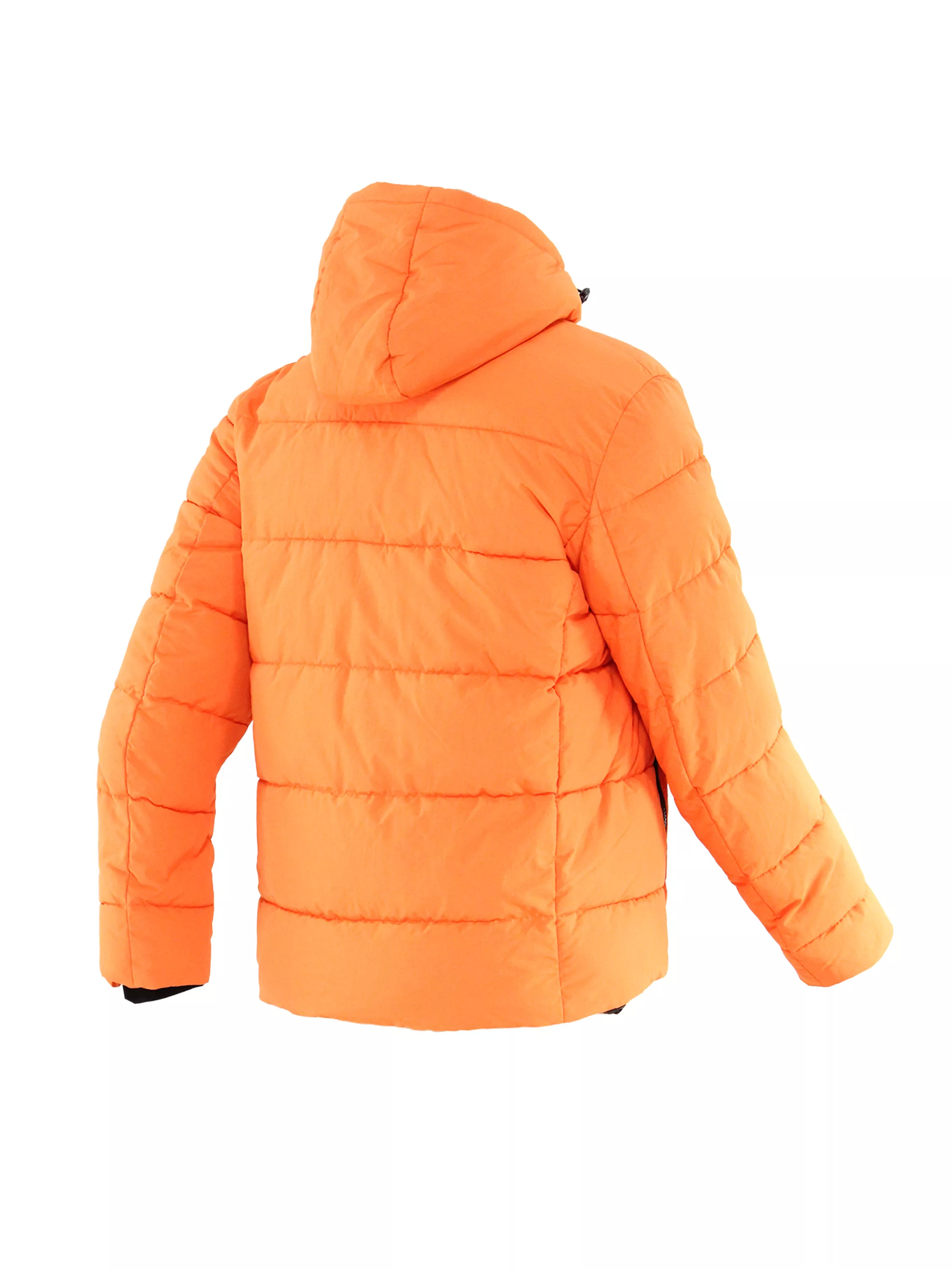 Puffer Hooded Jacket (back)