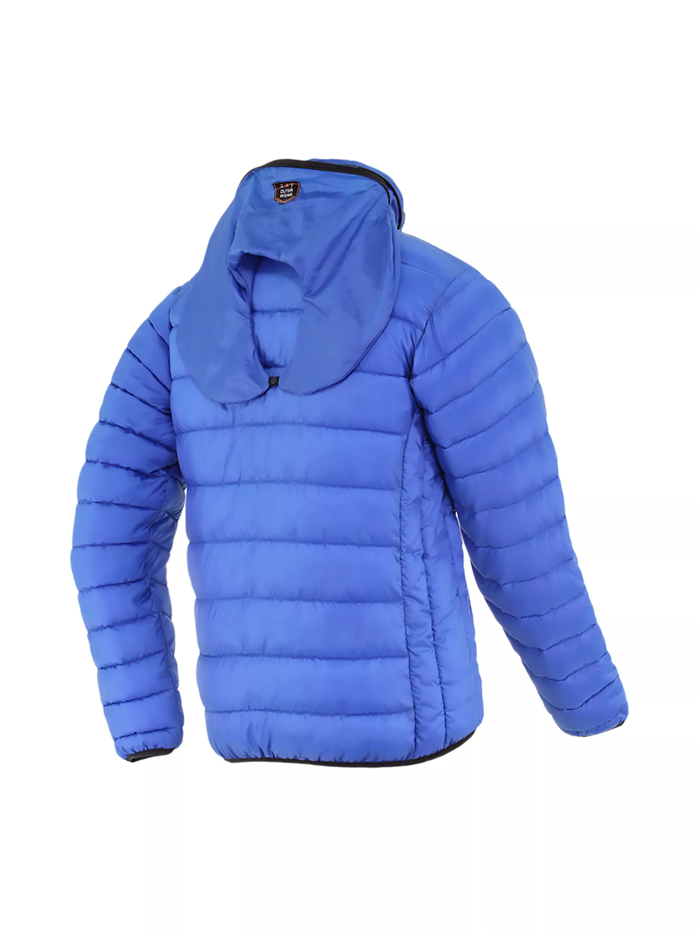 Puffer Jacket (back)