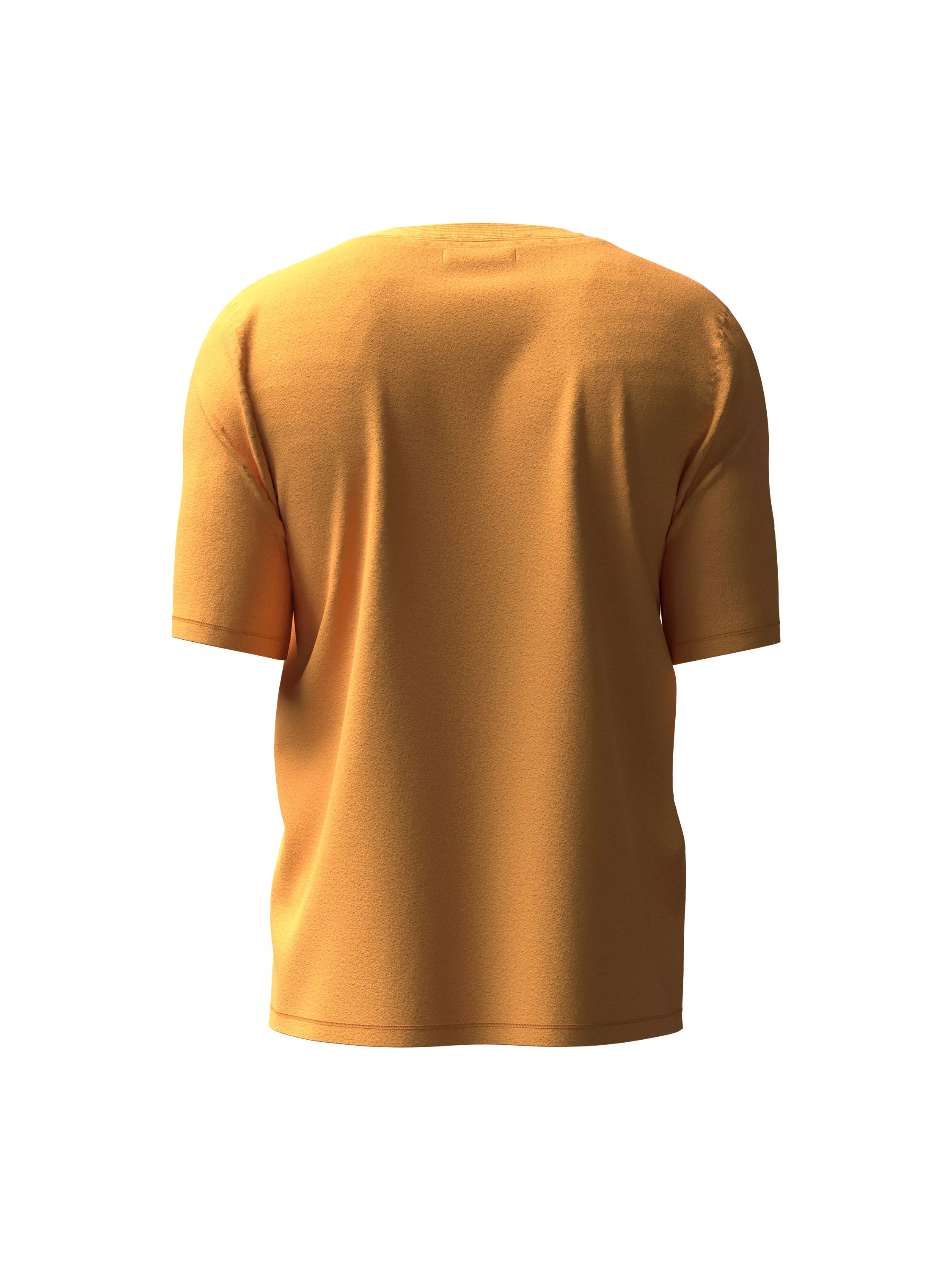 Short sleeve Printed Tee (back)