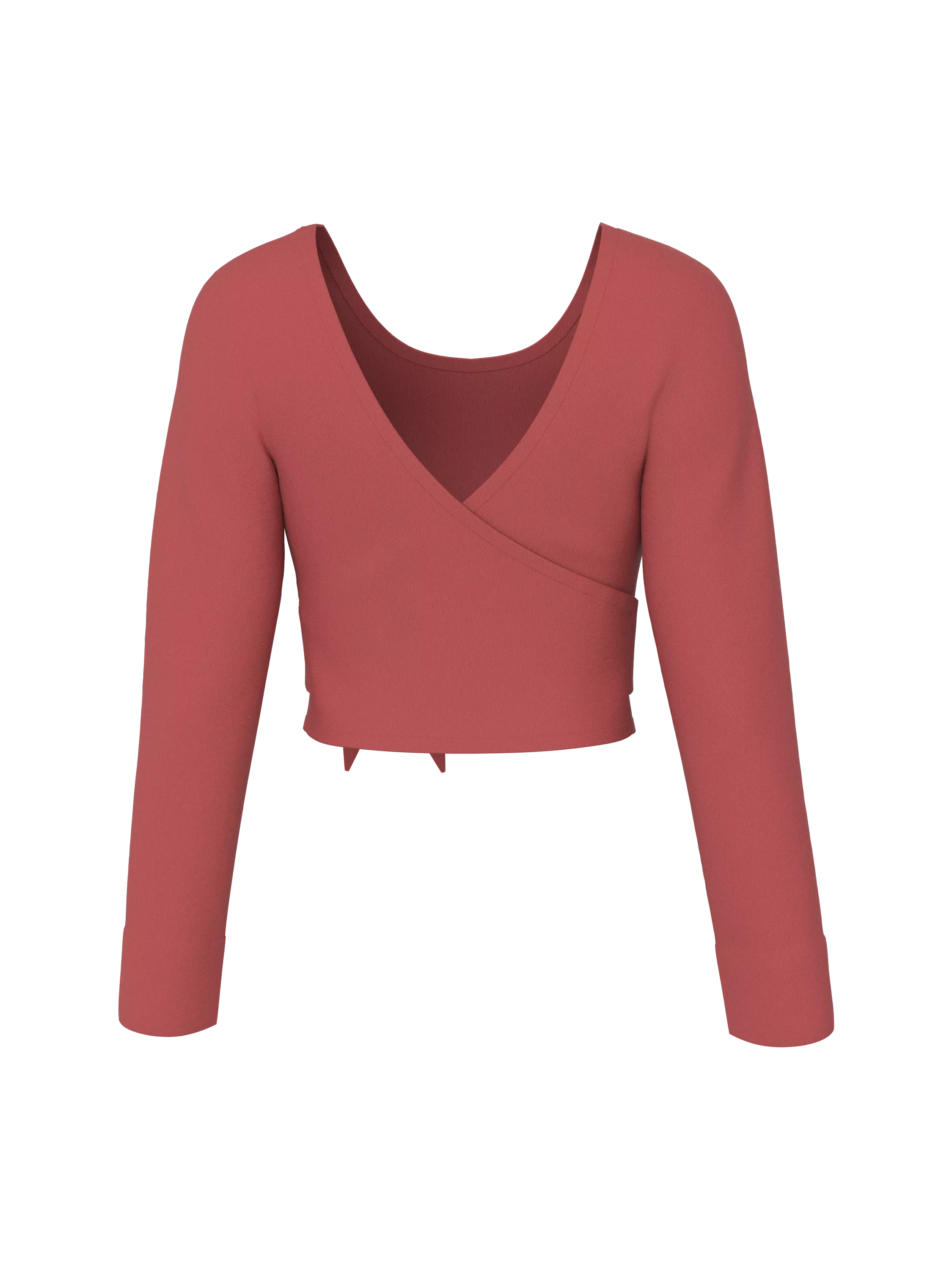 Long Sleeve Cropped Top (back)